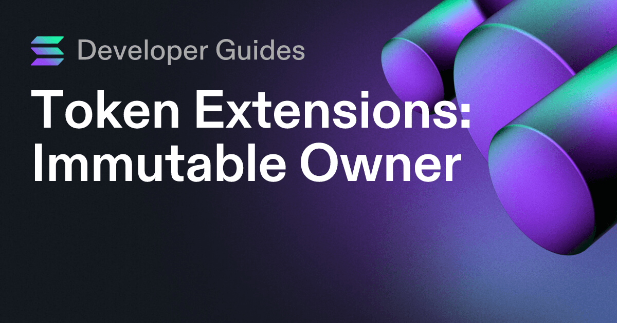 How to use the Immutable Owner extension